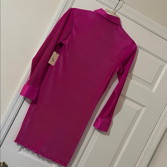 Sincerely Jules Fuchsia Pleated Dress - Picture 7 of 13